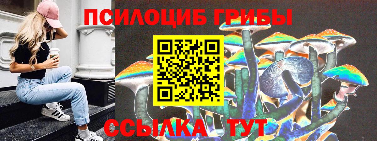 Нальчик  Псилоцибиновые грибы Psilocybe  Вход с VPN 
