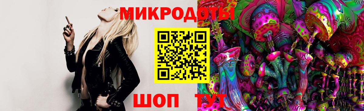 Псилоцибиновые грибы Psilocybine cubensis Нальчик
